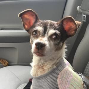 Meet your Posher, Kasih